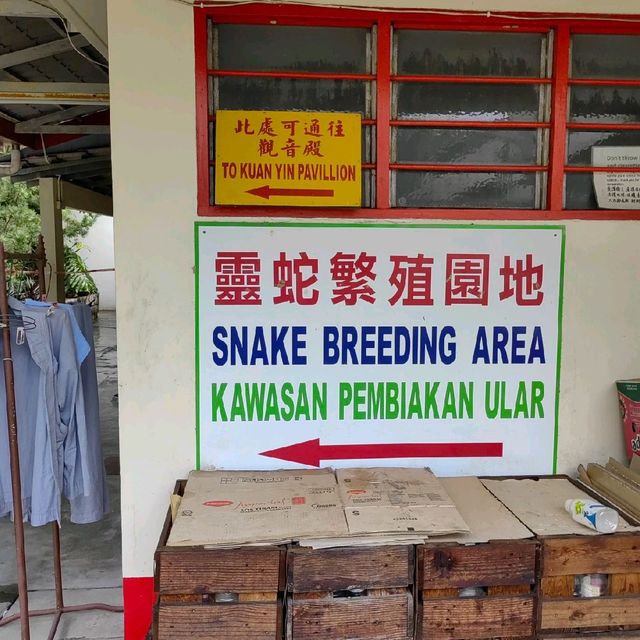 Snake Temple @Penang Island
