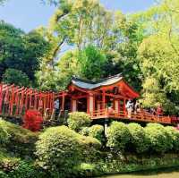 Nezu Shrine 