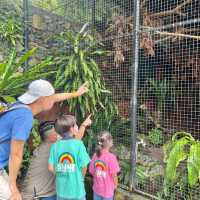嘉道理農場嘉道理農場暨植物園 觀蝶之旅