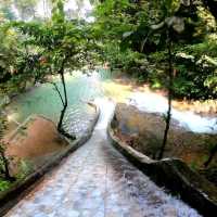 Exploring The National Park Of Rompin