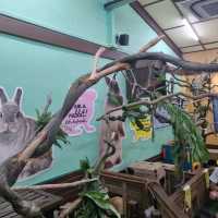The Rainforest Kidzworld In Mandai Zoo