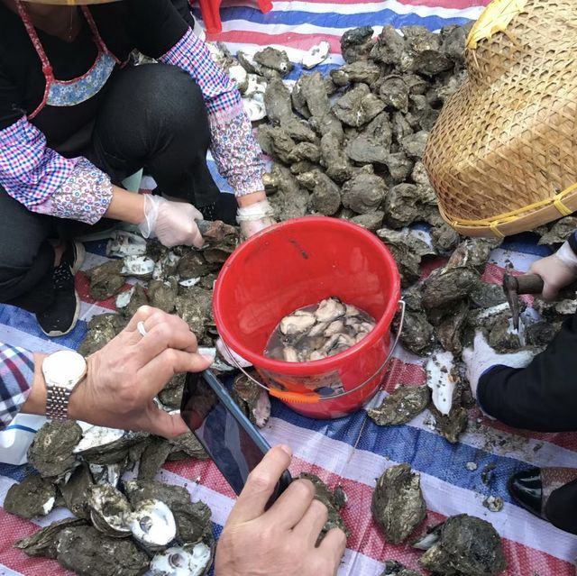 「蠔」遊流浮山
