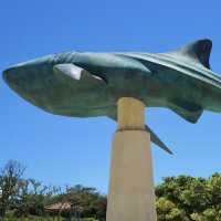 【沖繩 美麗海水族館】亞洲最大！世界第三大！