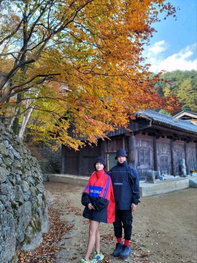 가을의 전설이 시작되는 곳! 경남 하동 삼성궁🍂🍁🏯