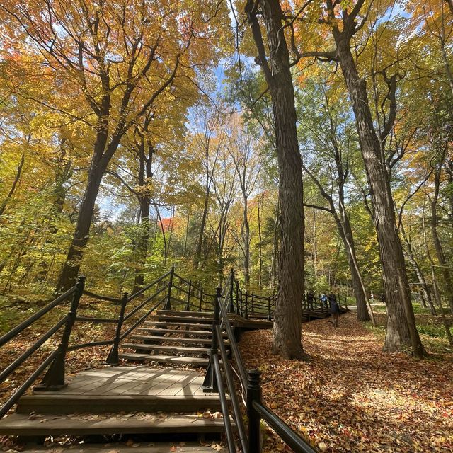 Fall in Canada 