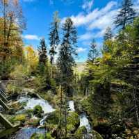 The Triberg Waterfalls at Black Forest