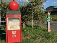 Apple picking in Japan? 🤤