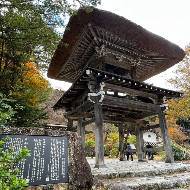 白川八幡神社 及 明善寺🍁🍁