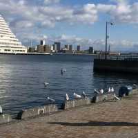 Maiko Park in Kobe 