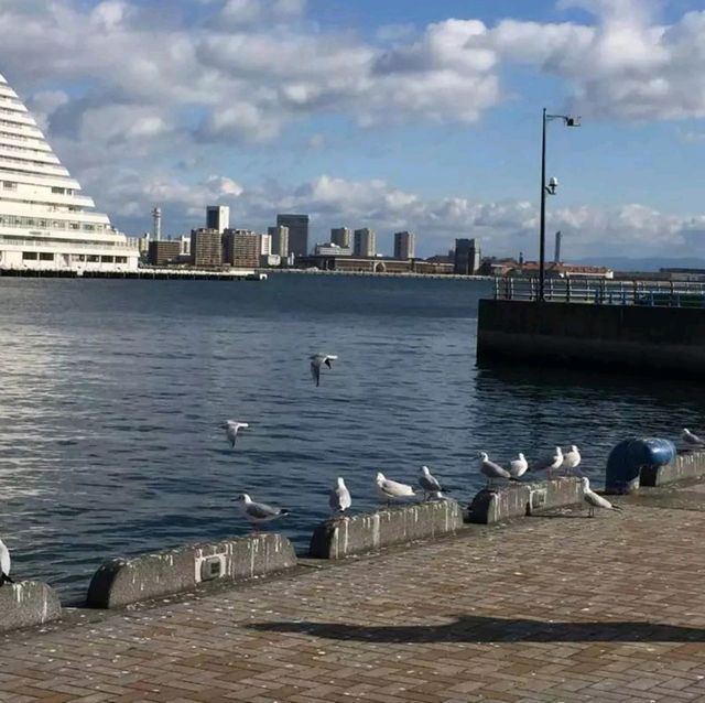 Maiko Park in Kobe 