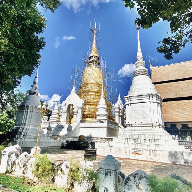 กราบไหว้ขอพรพระเจ้าเก้าตื้อ |วัดสวนดอก | เชียงใหม่