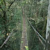 MULU NATIONAL PARK 