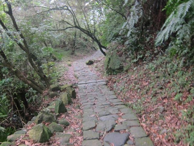 Yang Ming Shan