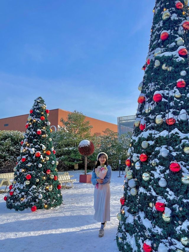 눈 쌓인 시몬스테라스에서 겨울왕국 맛보기❄️
