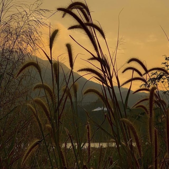 鯉魚門石礦場💕市區方便打卡點🫶🏻海景日落🌄樣樣有😍