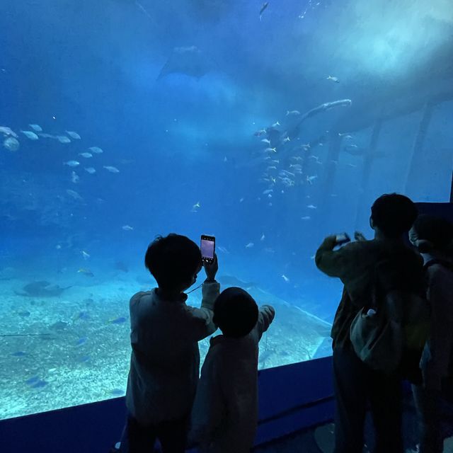 美麗海水族館