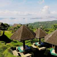 Tagaytay Picnic Grove