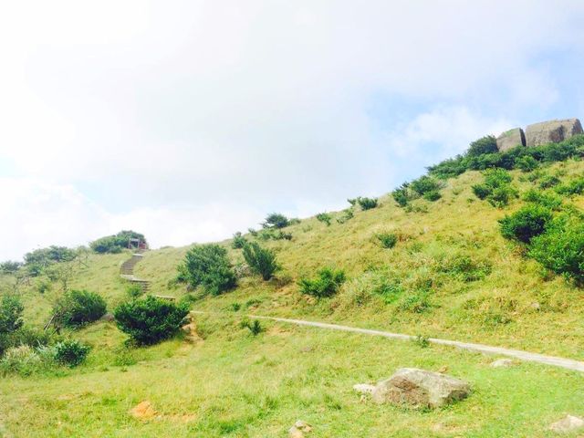全港最高的山｜大帽山
