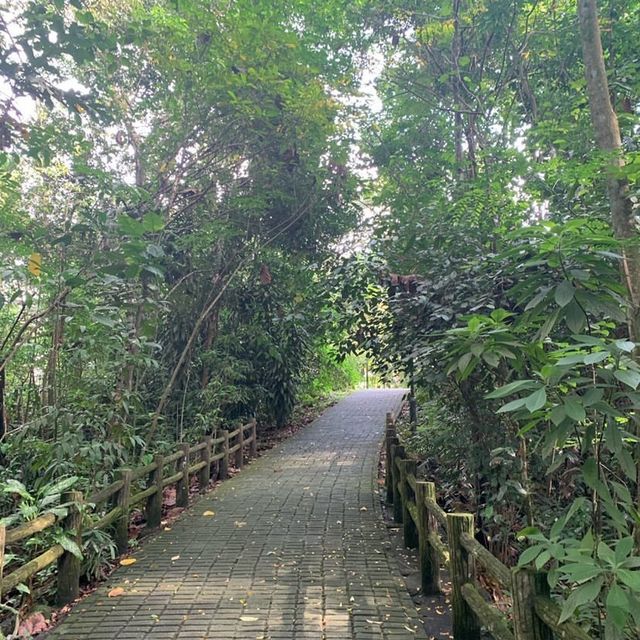 Bukit Batok Nature Park