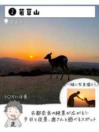 奈良県で外せないスポット7選