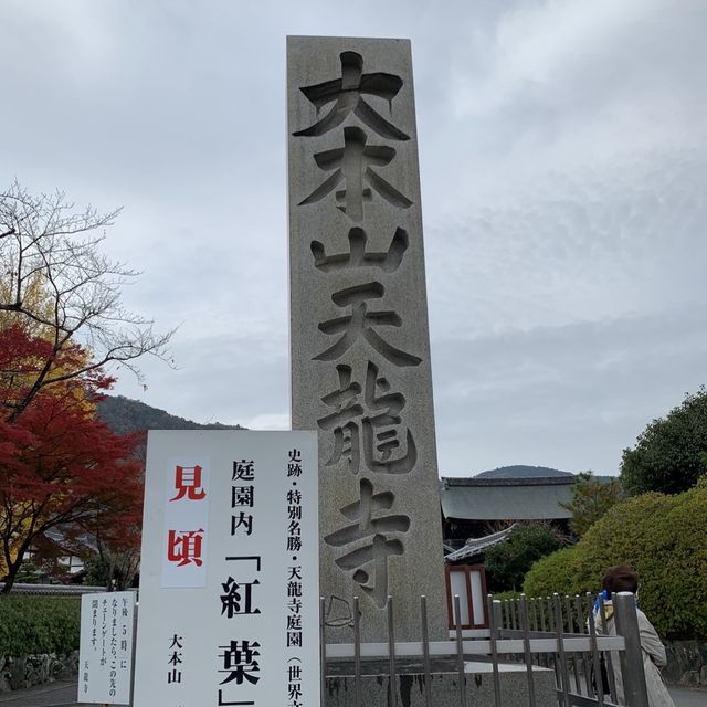 京都[紅葉めぐり] 絶景の天龍寺