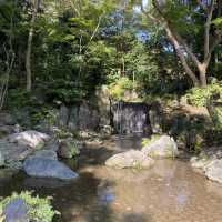 東京〝小石川後楽園〟