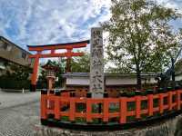 【京都観光】京都を代表する神社⛩