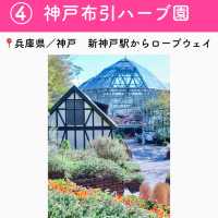 【兵庫】行ってよかった神戸の観光地7選