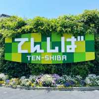 【大阪】天王寺　てんしばカフェ　スプーンビル天王寺🌳✨