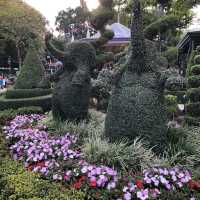 🏰迪士尼樂園賞花攻略🌺