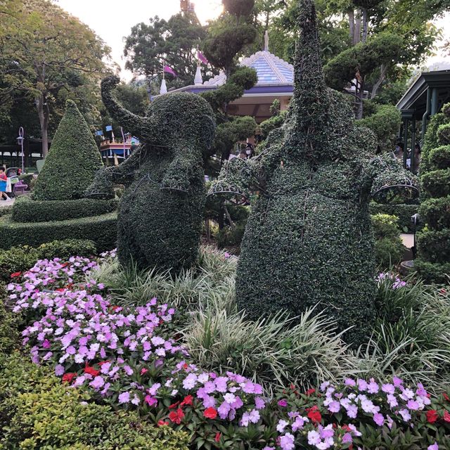 🏰迪士尼樂園賞花攻略🌺