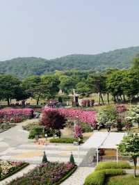 하늘에서 하는 특별한 꽃구경!