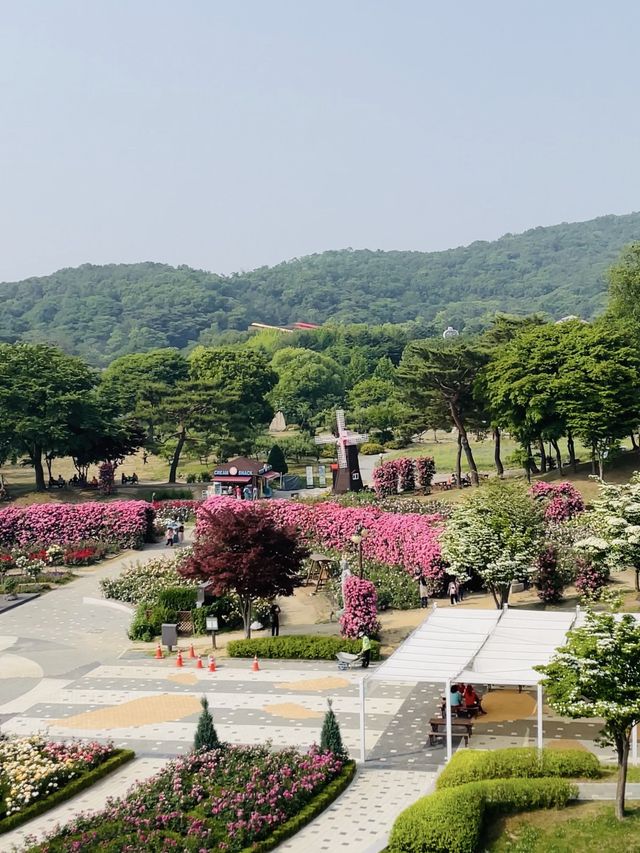 하늘에서 하는 특별한 꽃구경!