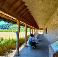 【滋賀県 近江八幡】そこはまるでおとぎの国へのエントランス🌹