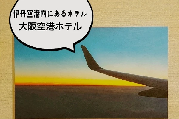 飛行機だらけ 大阪空港ホテル 伊丹空港内 Trip Com 大阪の旅のブログ 飛行機だらけ 大阪空港ホテル 伊丹空港内 Trip Com 大阪の旅のブログ