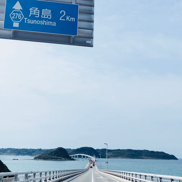 【山口県】人気観光スポット角島大橋をドライブ！