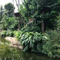The Wildlife Lovers - Singapore Zoo