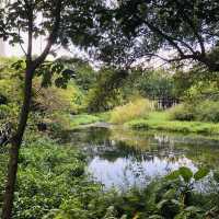 綠意盎然🌳🌿松山文創園區 Songshan Cultural and Creative Park