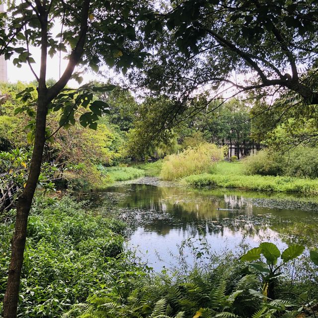 綠意盎然🌳🌿松山文創園區 Songshan Cultural and Creative Park