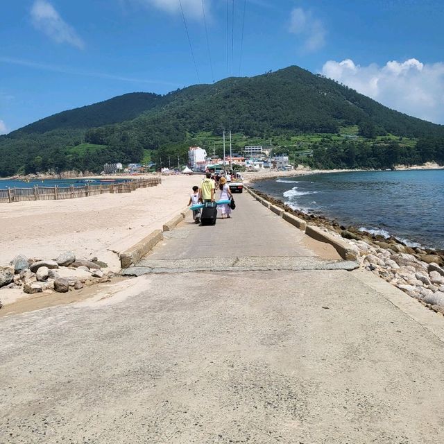 진짜 환상그잡채, 비진도🏖