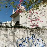 Lisbon- city of flowers and trees
