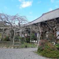 京都の紅葉スポット「毘沙門堂」