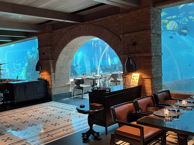 Fine Dining at Koral Aquarium Restaurant