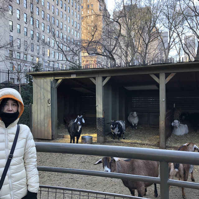 เที่ยว Central Park Zoo กัน