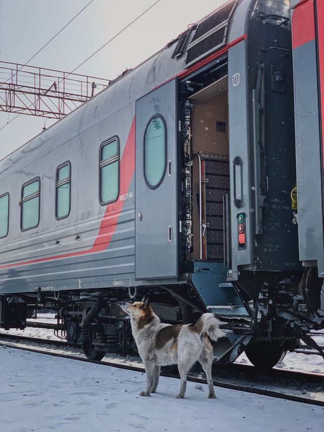 시베리아 횡단열차 🚂 낭만이 가득한 기차여행