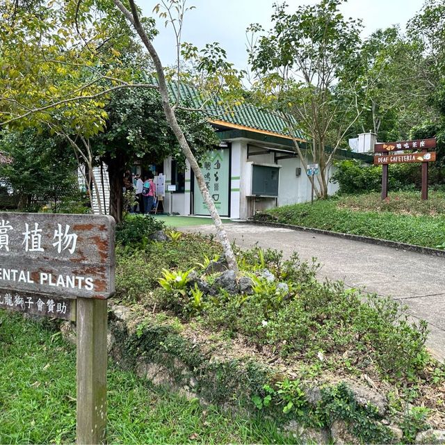 西貢北港「獅子會自然教育中心」老少咸宜
