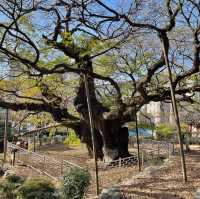 부산공원추천 망미 수영사적공원
