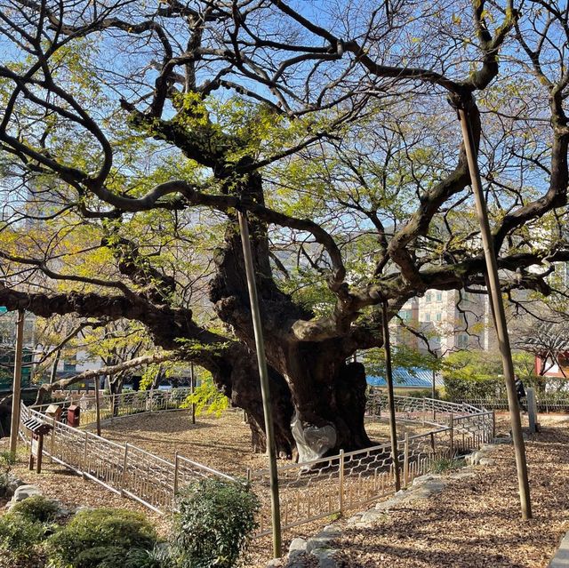 부산공원추천 망미 수영사적공원