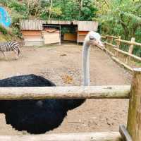 長崎旅行ならバイオパークでふれあい体験