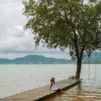 The Mangrove by Blu Monkey ที่พักภูเก็ต